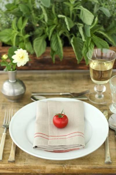 Nova Vas  Holiday Home Atena מראה חיצוני תמונה